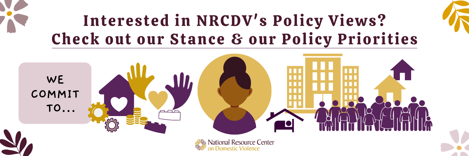 Interested in NRCDV Policy views?
