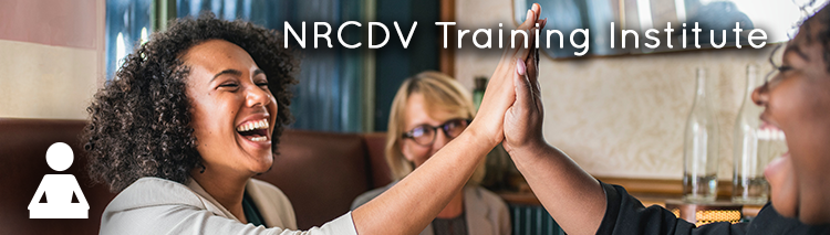 NRCDV Training Institute