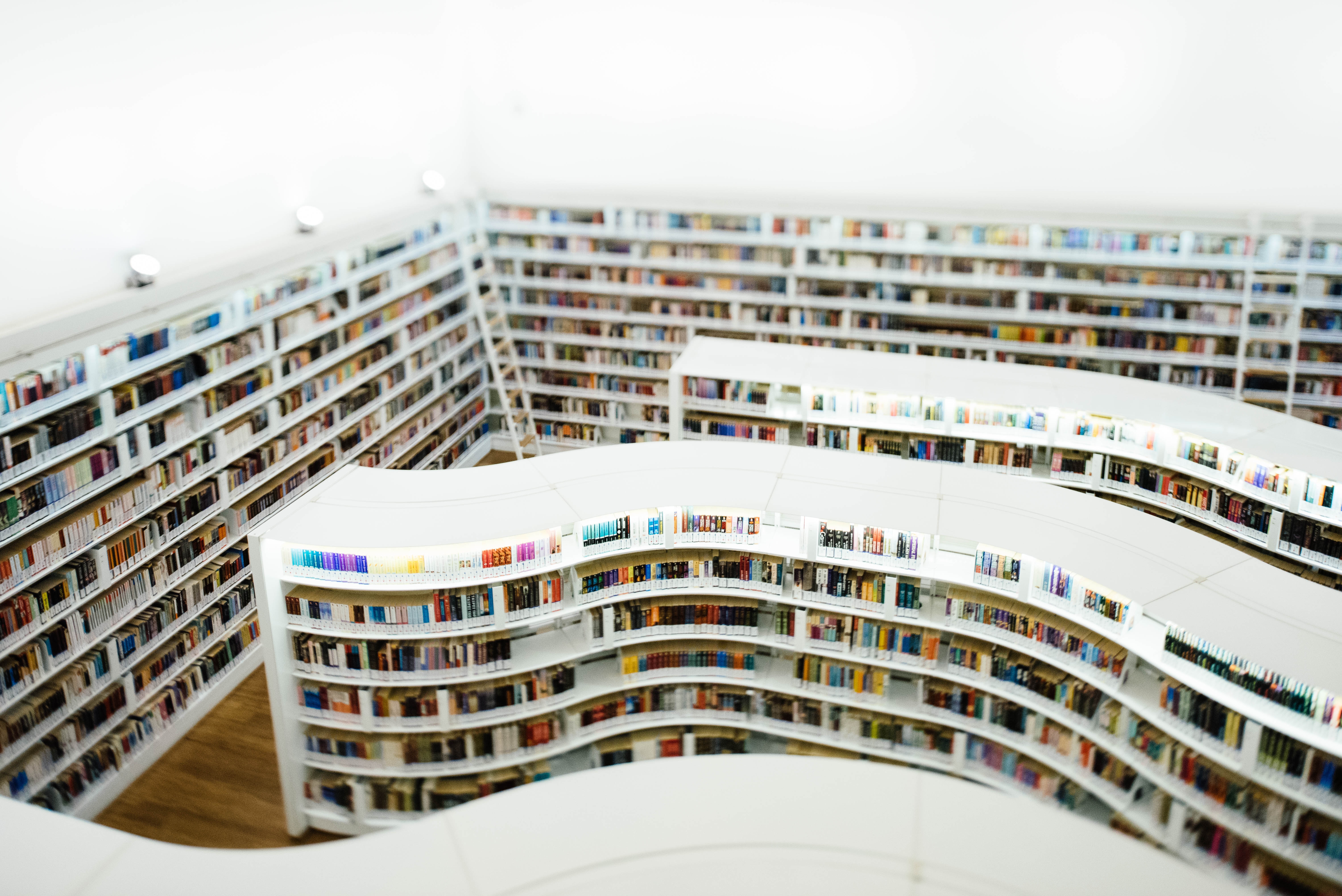 Arial view of wavy shelves filled with books, as if in a library.
